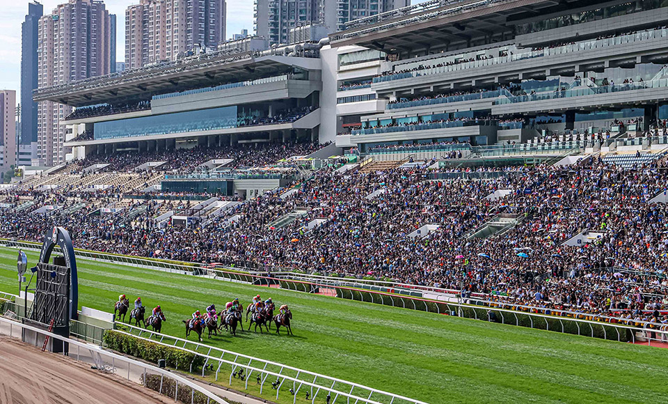 香港赛马会 官方认证平台